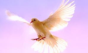 Le Saint-Esprit descendit comme une colombe ...