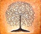 L'arbre de vie ...