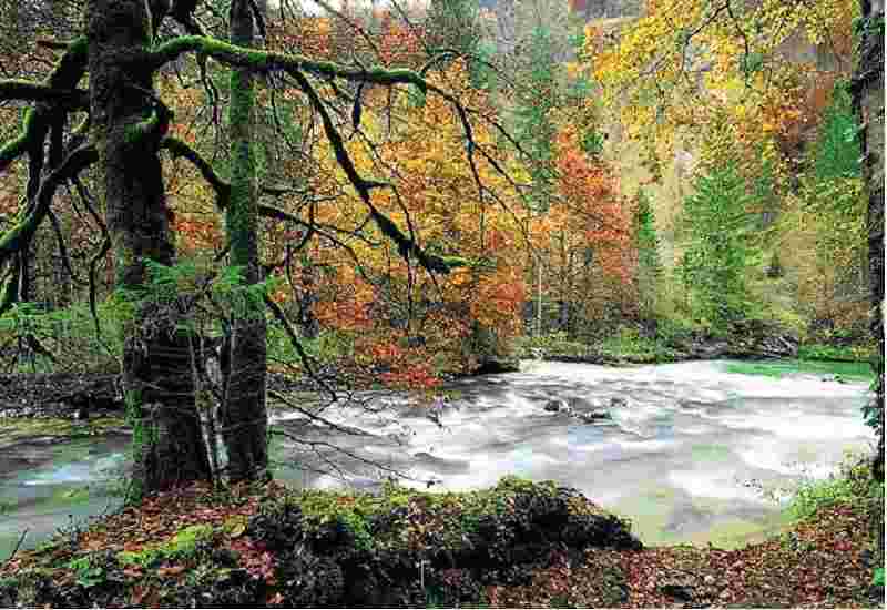 Image de l'automne